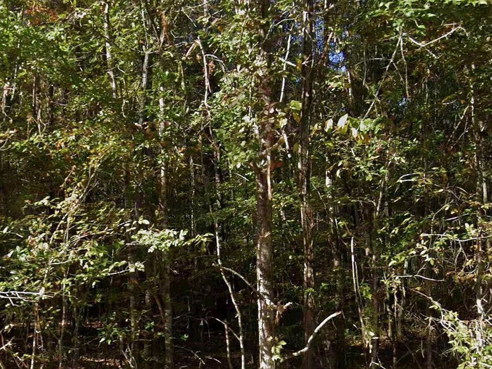 1st image of S Springdale Rd