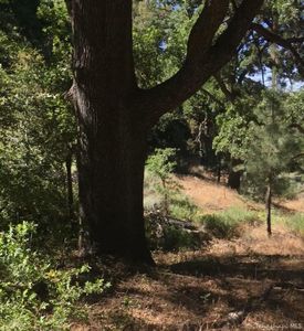 0 Saint Moritz Dr #21, Tehachapi, CA, 93561