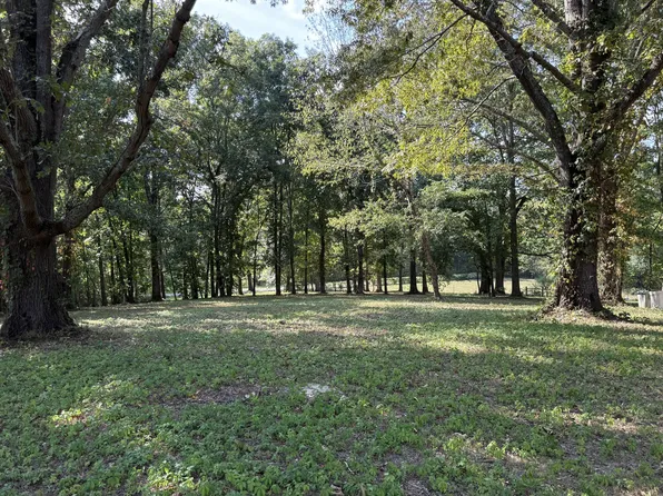 0 Smith Rd, Primm Springs, TN 38476