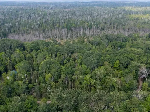 Lots 52 53 East Side Dr, Beaver Island, MI 49782
