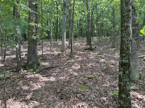 0 County Road 284/four Cors #13.5, Canehill, AR 72717