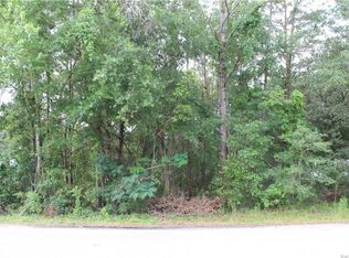 15 Nephthytis Ct, Homosassa, FL 34446