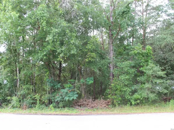 15 Nephthytis Ct, Homosassa, FL 34446