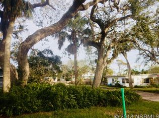 209 Canova Dr, New Smyrna Beach, FL 32169