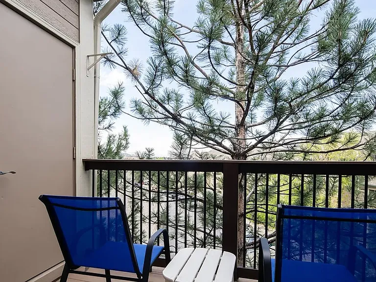 7435 S Alkire St #302 — Photo 12