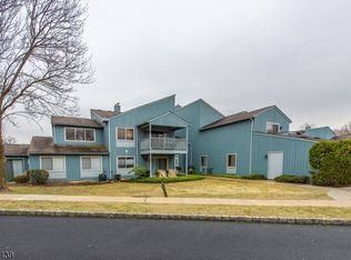 94 Drake Ln, Ledgewood, NJ 07852