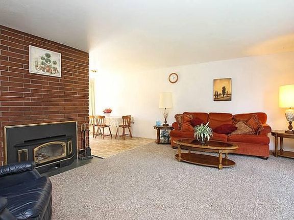 Living room fireplace
