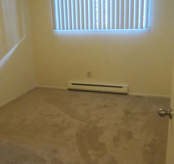 Forest View Apartments — Photo 10