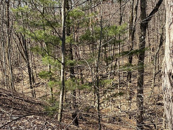 5th image of 13751 Township Road 64