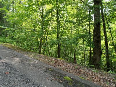 LOT 98 E Black Powder Ln, Sevierville, TN, 37862