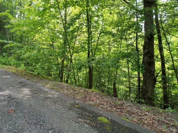 LOT 98 E Black Powder Ln, Sevierville, TN 37862