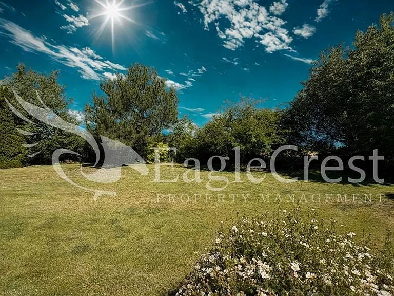 44 Vinehill Dr — Photo 61