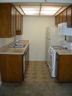 3rd image of 1480 Petree St APT 611