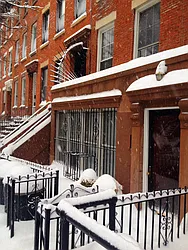 Rented by Realty Collective