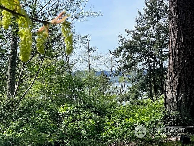 55 B Snohomish Way photo 1