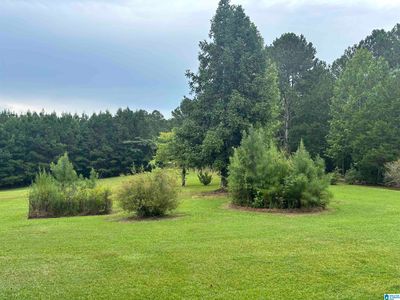 81 County Road 500, Woodland, AL, 36280