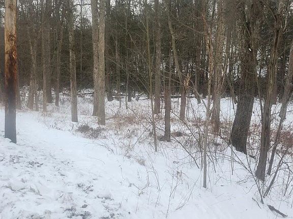 5th image of 0 Brush Creek Rd