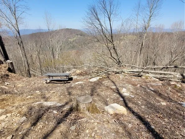 159 W Blueberry Lane, Beech Mountain, NC 28604