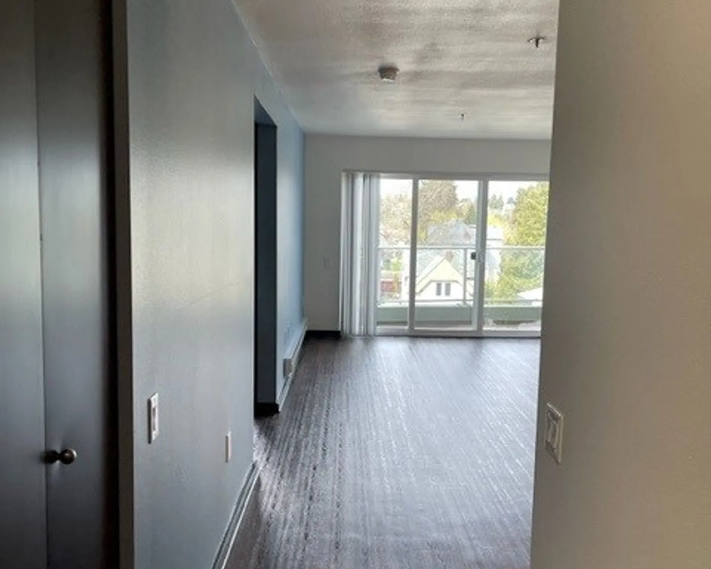 Cohanim Plaza on The University Ave! — Photo 4