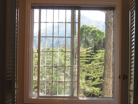 View of Mt. Tam from den