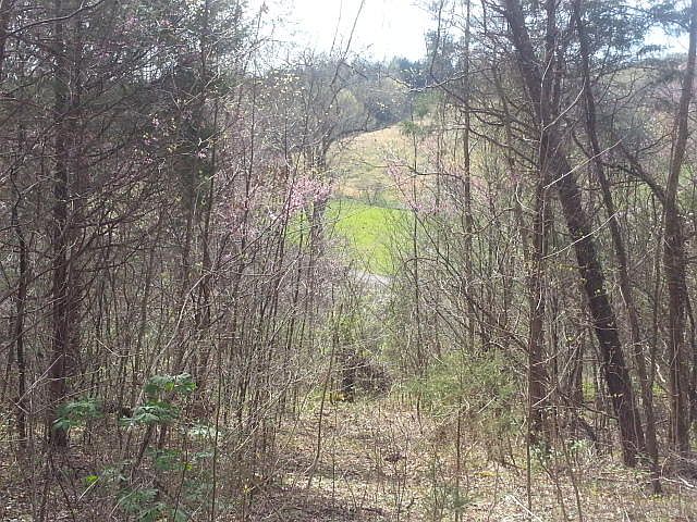 1st image of 64 Five Acres Cantwell Valley Rd