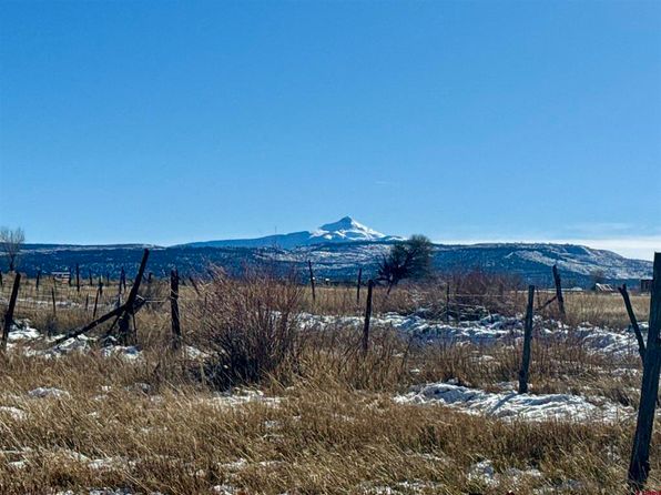 35826 & 35860 Highway 145, Redvale, CO 81431
