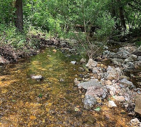 creek on property