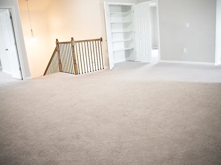 532 Arrowhead Vine St — Photo 28