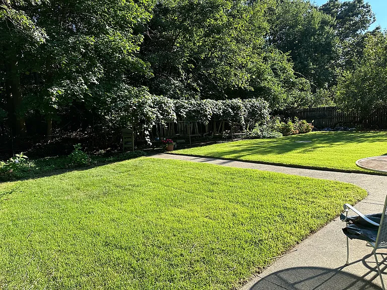 Primrose Dr — Photo 20