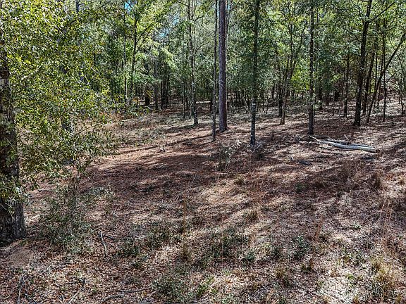 2nd image of Holly Tree Ln