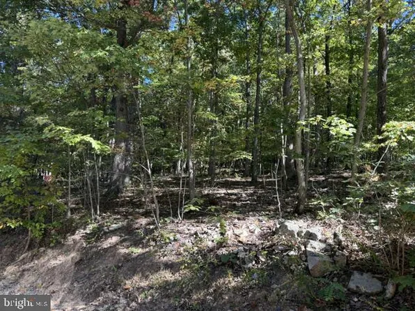 65 High Mountain View Rd, Romney, WV 26757