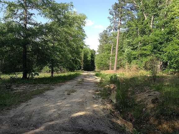 View down Driveway from Rd