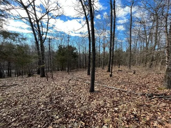 1479 Antioch Rd, Cave City, AR 72521