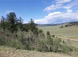 780 Cathy Dr, Hartsel, CO 80449