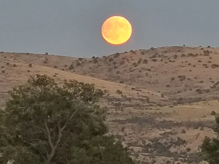 Catch the full moon and incredible night skys!