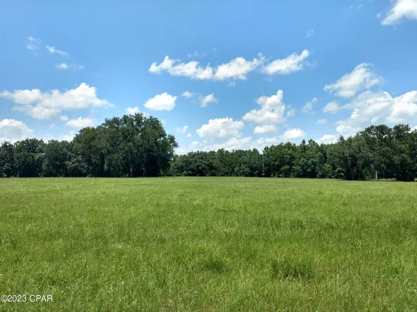 2585 Coy Hinson Rd, Bonifay, FL 32425