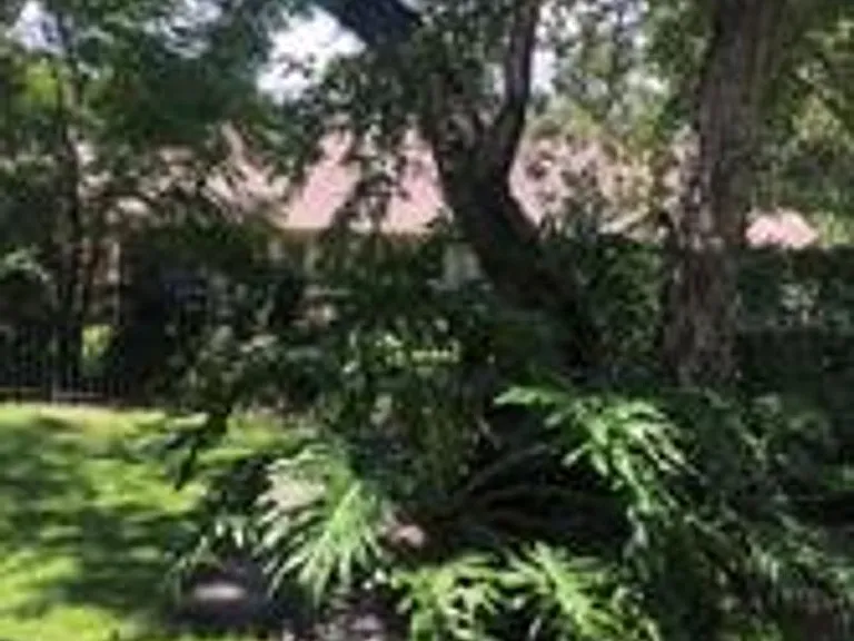 467 Newton Pl — Photo 22