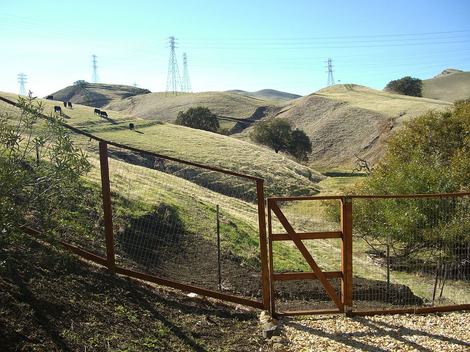 Backyard Hills view