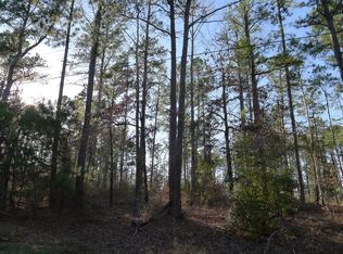 Lot #9 Acr 330, Palestine, TX