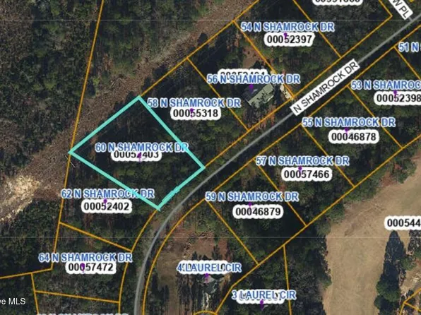 60 N Shamrock Drive, Jackson Springs, NC 27281