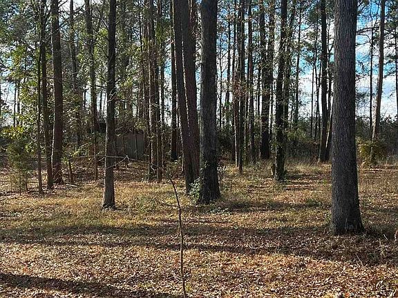 3rd image of 209 Forrest Park Dr