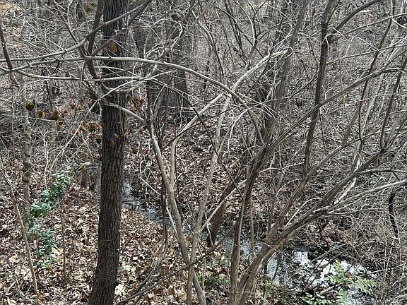 3rd image of 67 Lamont Ln