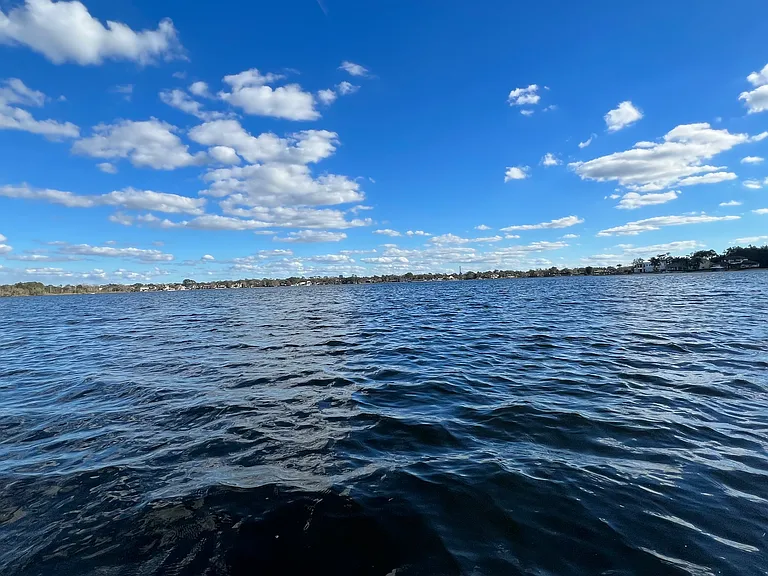 Lake Brantley