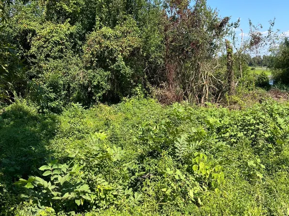 Old River Boat Camp Rd Lot 9, Ferriday, LA 71334