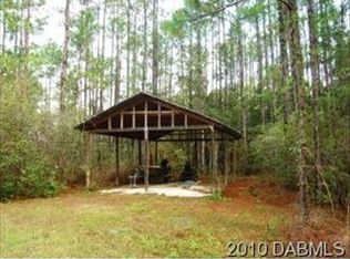 390 Spring Forest Dr, New Smyrna Beach, FL 32168