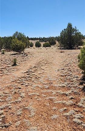 2nd image of LOT B&d Roaming Way