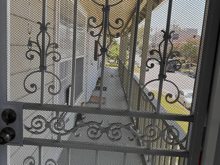 Front door with Iron gate