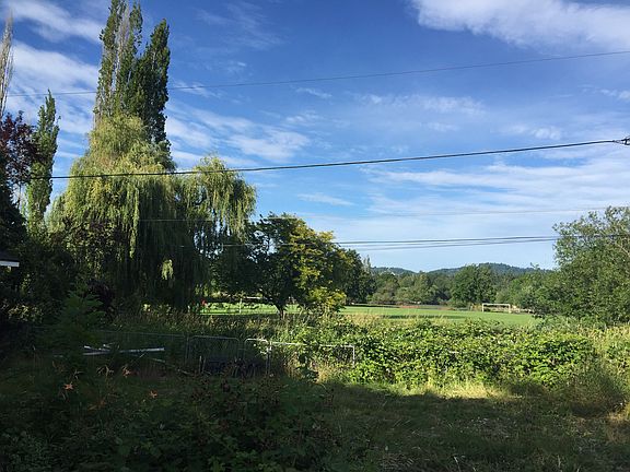 Beautiful Backyard View
