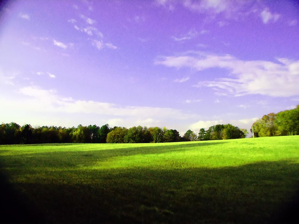 30.31 acres of beautiful property