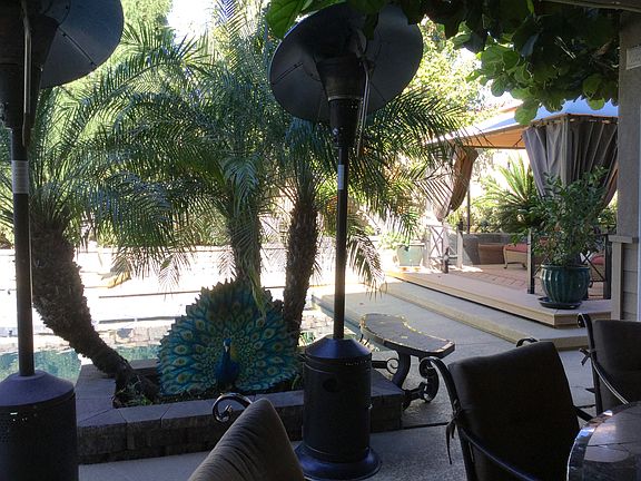 Outdoor entertaining